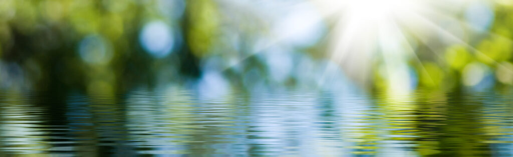 blurred image of natural background from water and plants